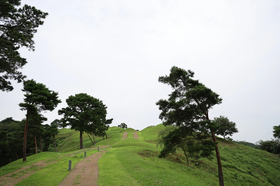 SE-545dcc54-e58c-4e6a-ba04-27caf53f0a95.jpg?type=w1