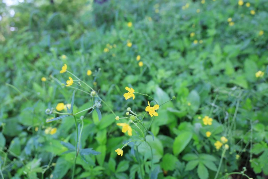 6%EC%9B%9414%EC%9D%BC_(3).JPG?type=w1