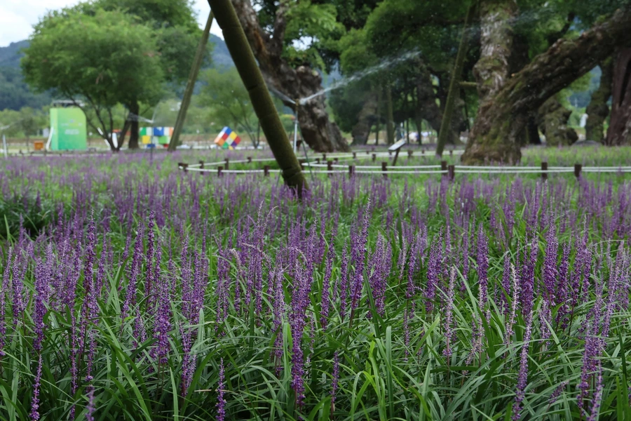 SE-f79a38e6-df44-449a-a697-e7907c18e719.jpg?type=w1