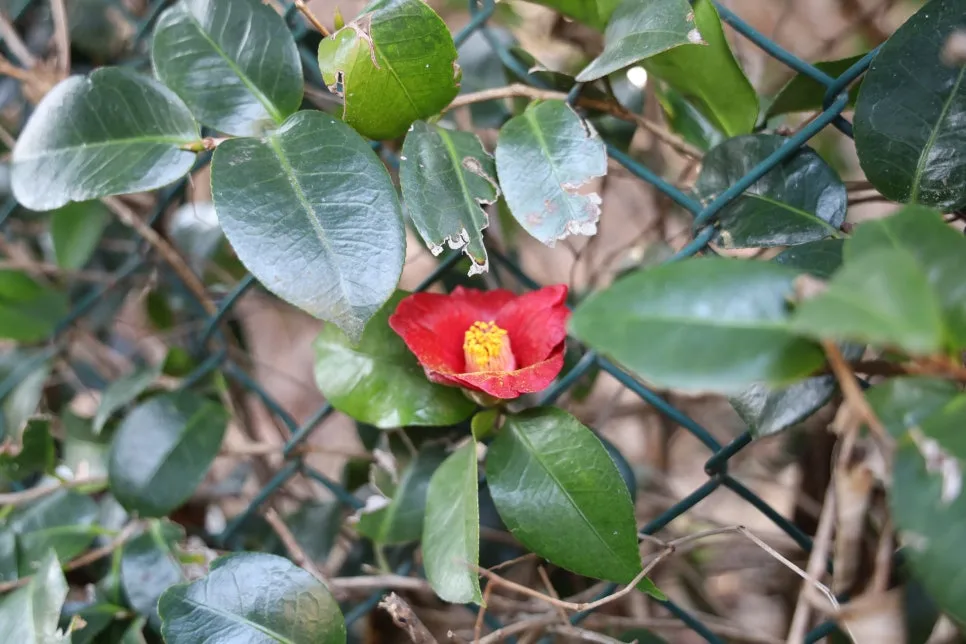 2%EC%9B%9426%EC%9D%BC_(31).JPG?type=w966