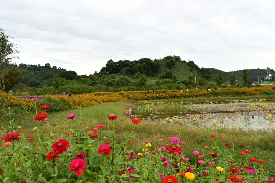 10%EC%9B%9414%EC%9D%BC_(40).JPG?type=w966