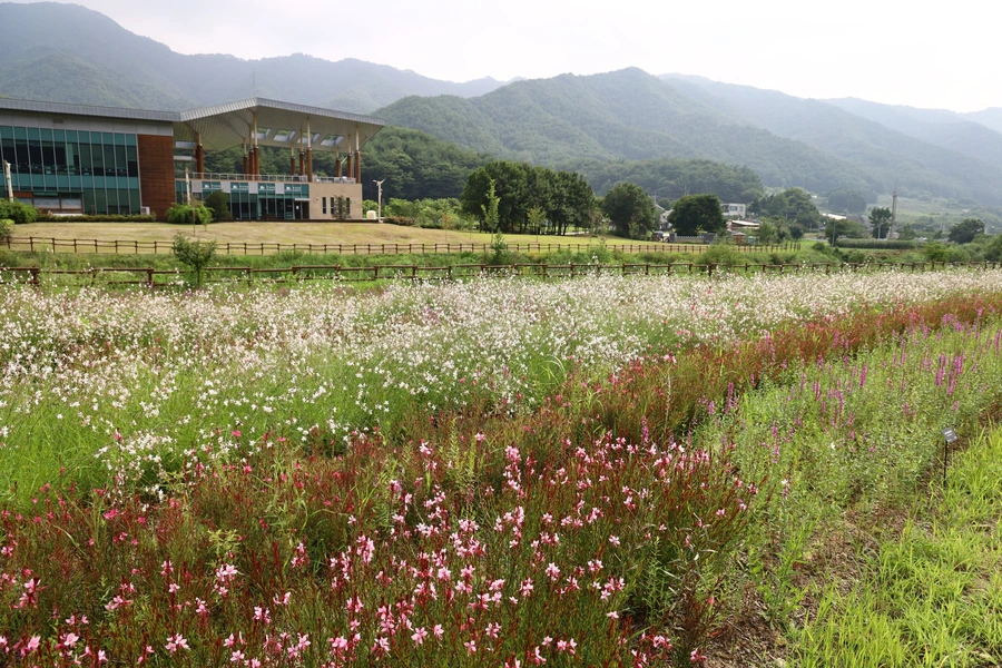 SE-7dda76ec-c1c9-4616-96e8-bd02236793c5.jpg?type=w1