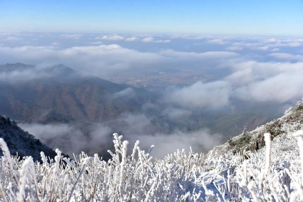 11%EC%9B%9426%EC%9D%BC_(48).JPG?type=w966