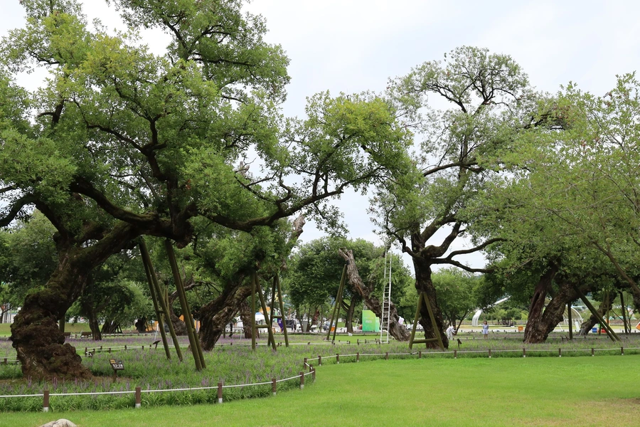 SE-203a6ff2-a8c2-4866-9f11-d2adaf227f61.jpg?type=w1