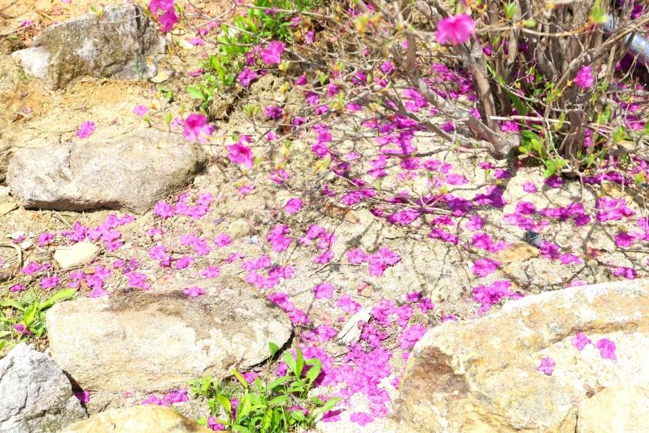 4%EC%9B%9428%EC%9D%BC_(22).JPG?type=w1