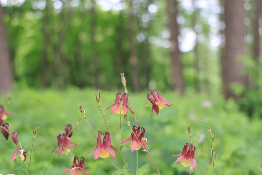 SE-6cb2ca3d-cbfe-44c4-9415-b92d7eed36b1.jpg?type=w1