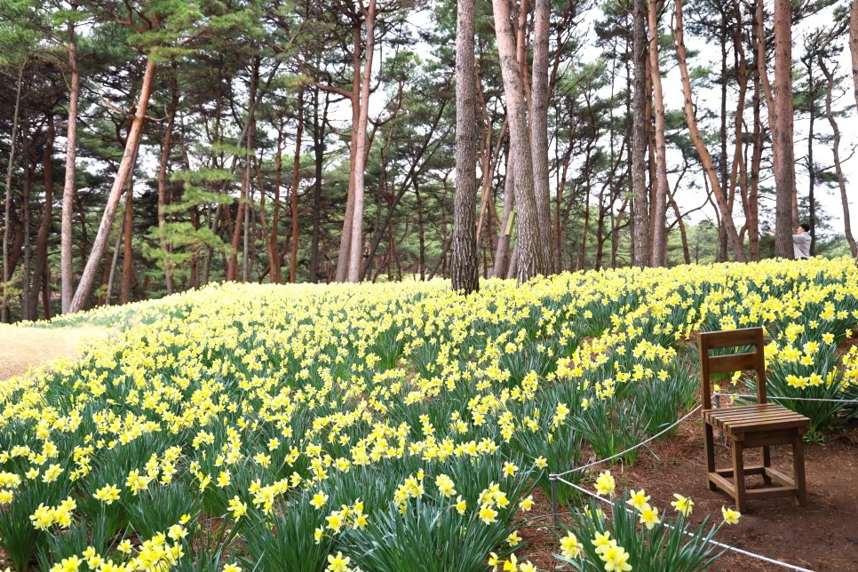 4%EC%9B%945%EC%9D%BC_(38).JPG?type=w966