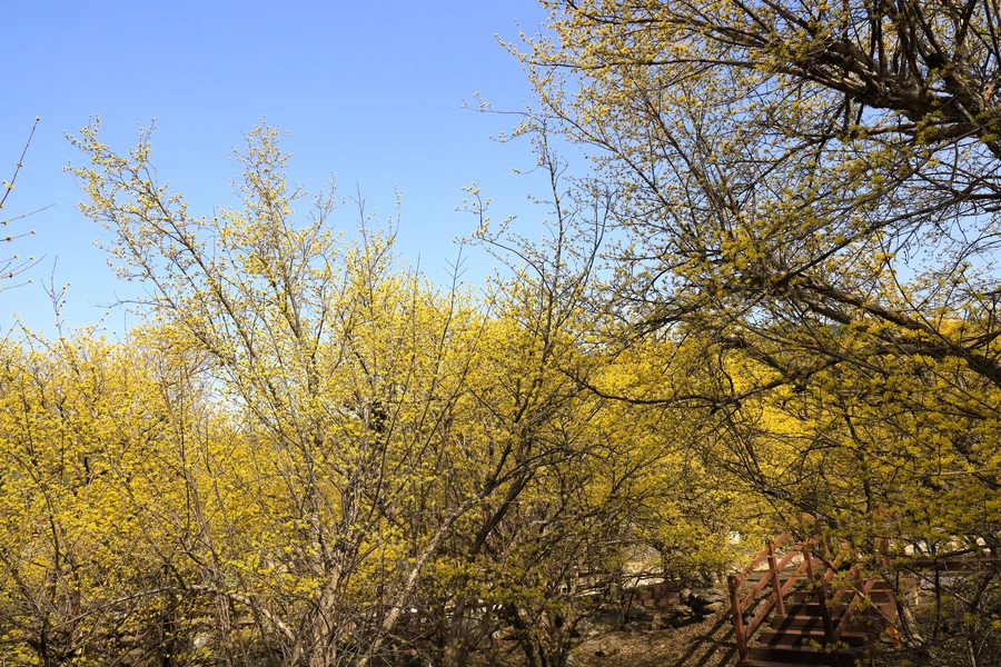 SE-a6438a37-10b4-4d8d-b42d-cc8187b5594f.jpg?type=w1