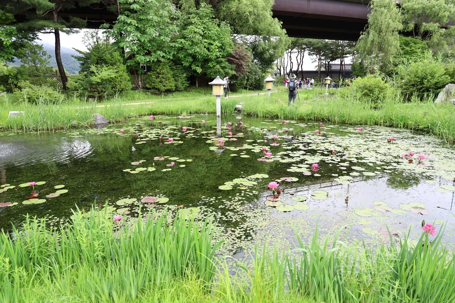 SE-11d73197-8a68-4aab-9420-174dcdd4ced7.jpg?type=w1