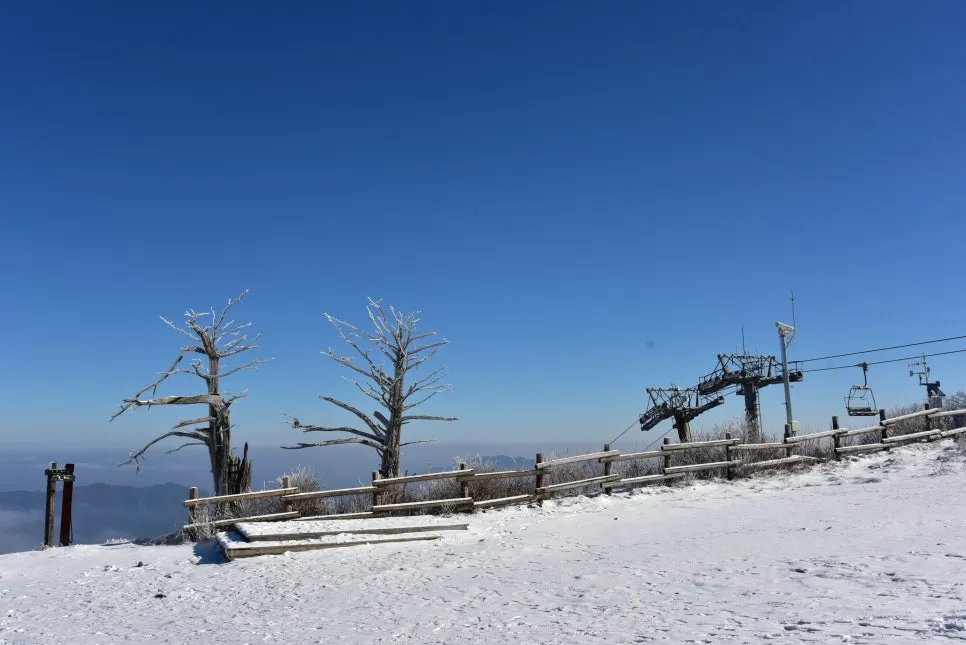 11%EC%9B%9426%EC%9D%BC_(46).JPG?type=w966