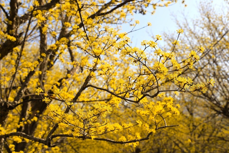 SE-d12c208e-7bac-42f0-bac8-f709c36c692b.jpg?type=w1