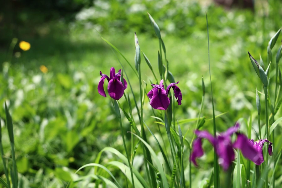 SE-383b7521-1afd-43a3-9666-3254196a95ad.jpg?type=w1