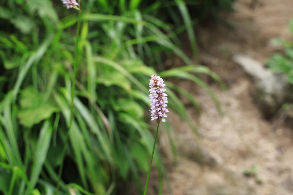 6%EC%9B%9428%EC%9D%BC_(154).JPG?type=w1