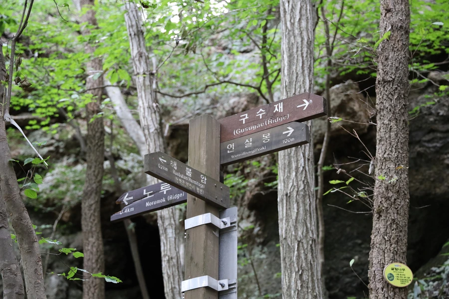 SE-3a4321d1-3170-4ab4-ad15-b2056e77db71.jpg?type=w1