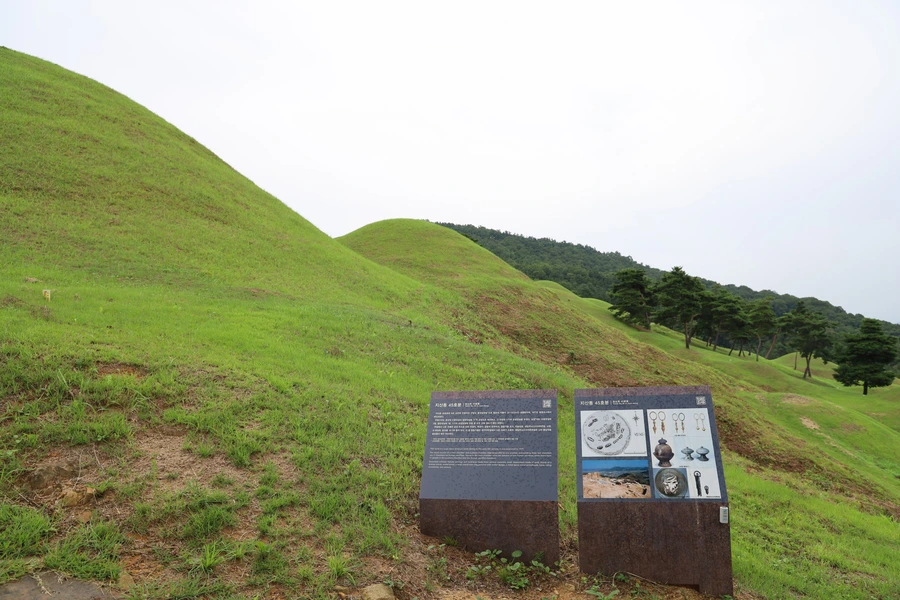 SE-4946051f-67bb-46e2-90db-f2026dc66716.jpg?type=w1