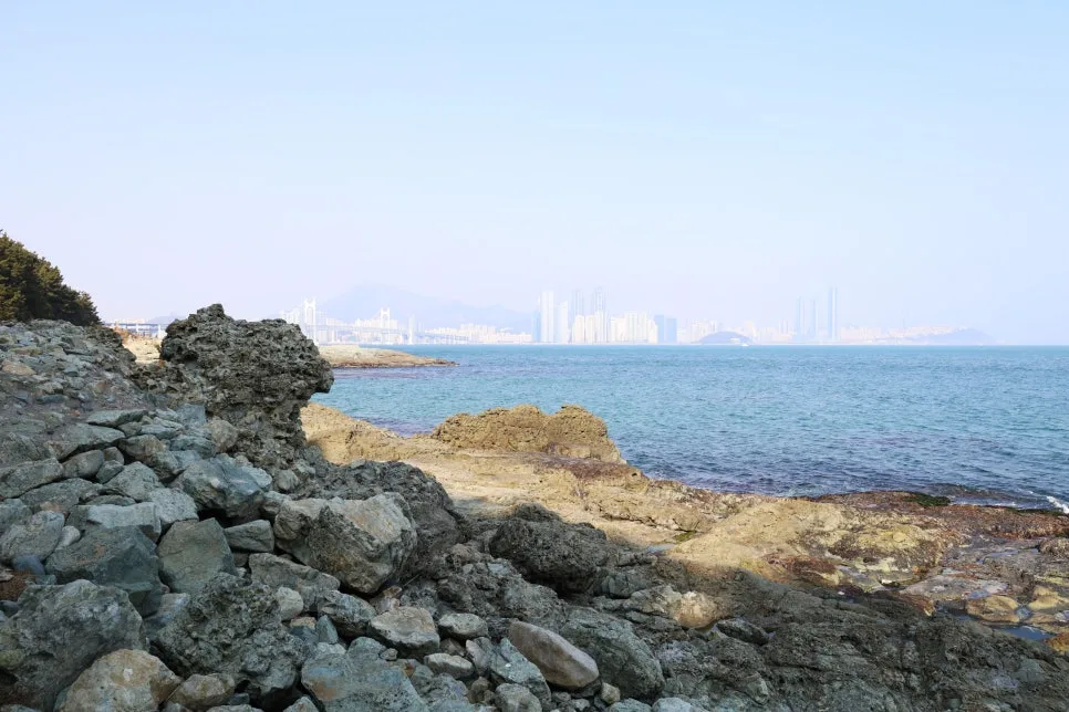 2%EC%9B%9426%EC%9D%BC_(107).JPG?type=w966