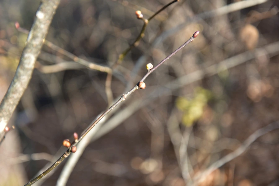 SE-cd4d84e0-9ea3-415c-b051-e5fbccc08c35.jpg?type=w1