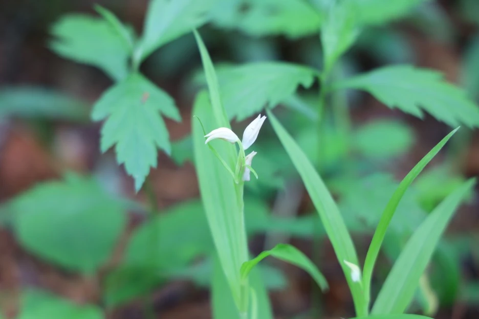 6%EC%9B%9414%EC%9D%BC_(42).JPG?type=w1