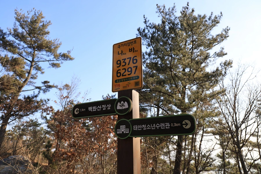 SE-e381550a-d87b-4e6f-8e46-04f527567eb8.jpg?type=w1