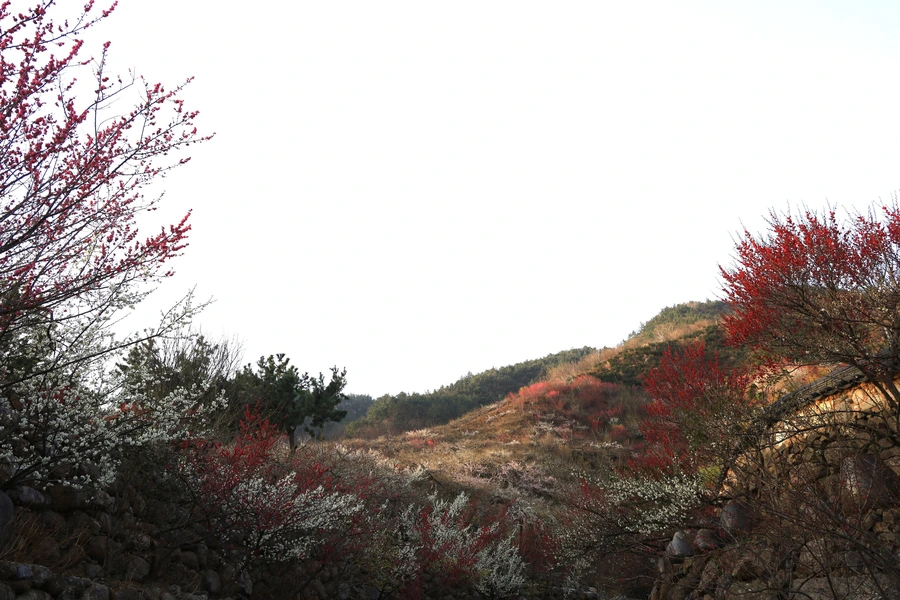 SE-3af3e89e-1749-41e0-b6cc-21ab5df6a342.jpg?type=w1