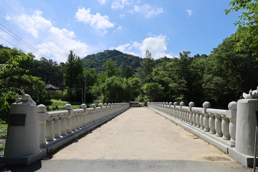 SE-2c783e92-9afe-4f5b-b343-ce8e64151f6c.jpg?type=w1