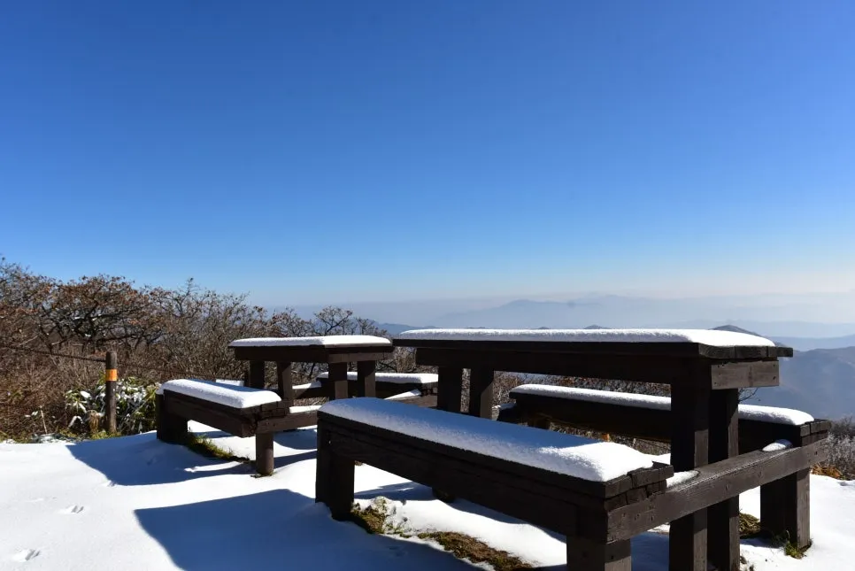 11%EC%9B%9426%EC%9D%BC_(173).JPG?type=w966