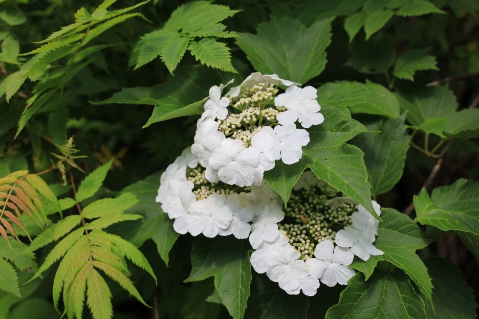 6%EC%9B%9414%EC%9D%BC_(268).JPG?type=w1