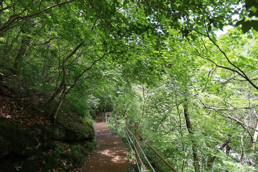 SE-fa053476-f00e-420c-b8d5-59621154720b.jpg?type=w1