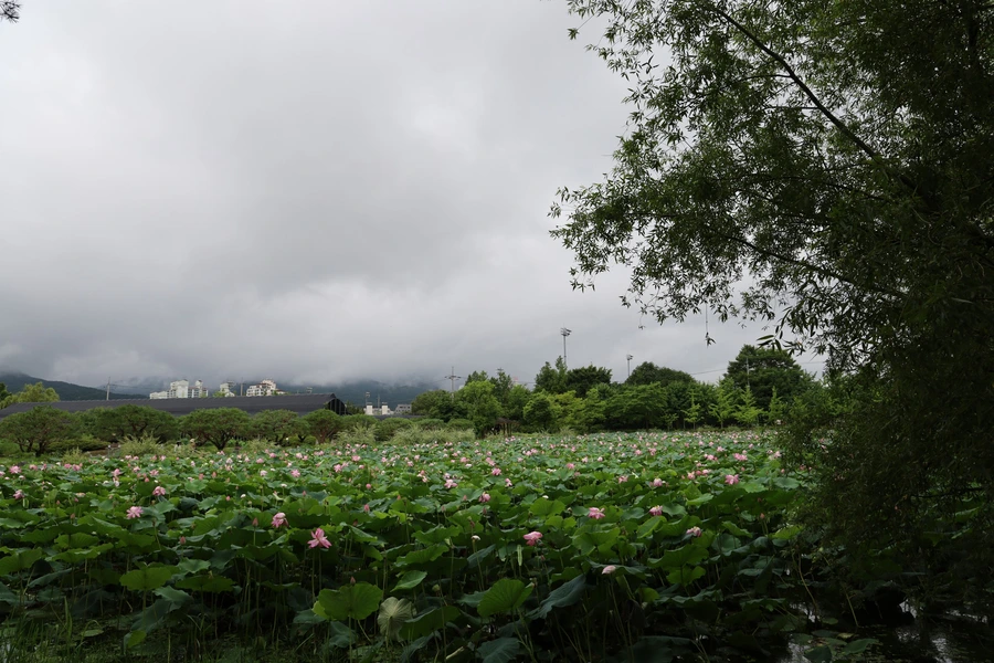 SE-56ee5a01-83ee-4ae6-bddf-f1e15dde106a.jpg?type=w1