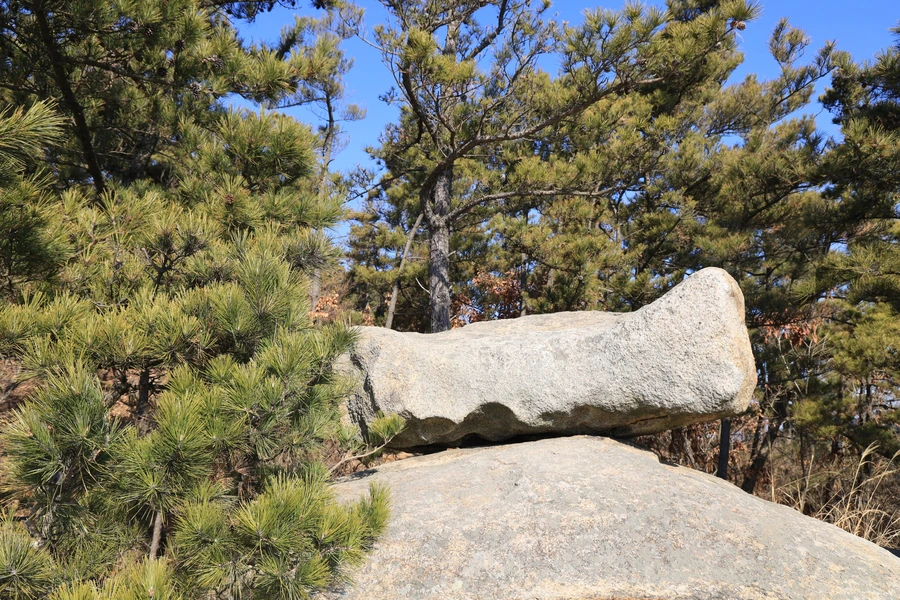 SE-833825a6-79aa-4148-b851-ed2073fe5322.jpg?type=w1