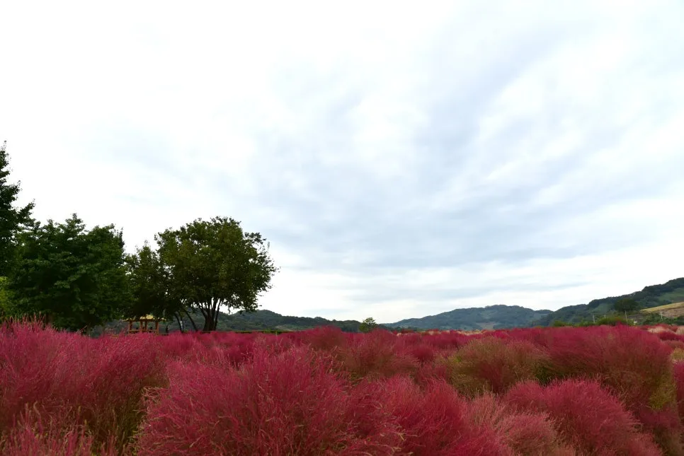 10%EC%9B%9414%EC%9D%BC_(37).JPG?type=w966