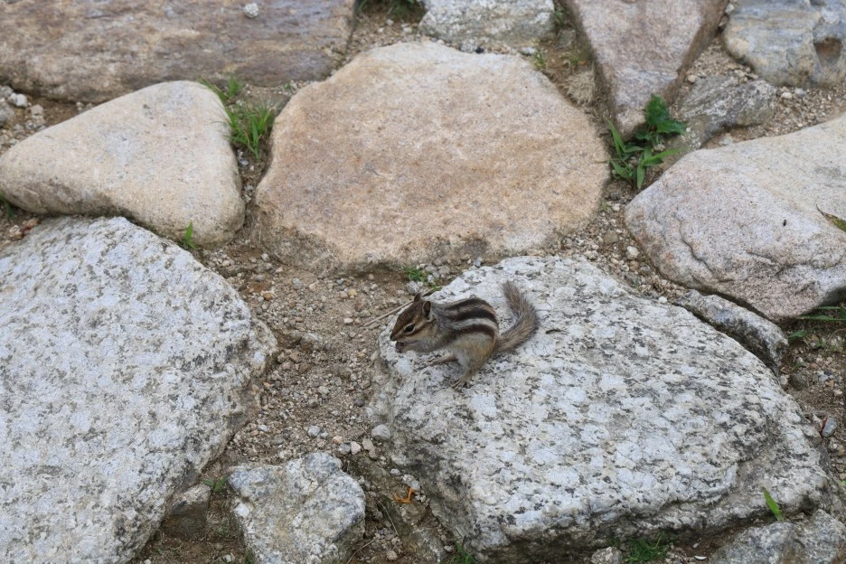 6%EC%9B%9428%EC%9D%BC_(277).JPG?type=w1