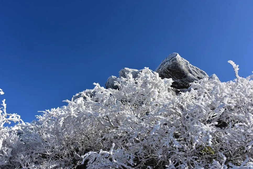 11%EC%9B%9426%EC%9D%BC_(197).JPG?type=w966