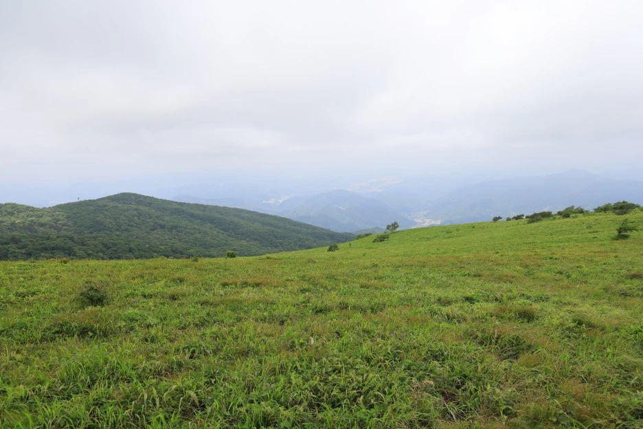 6%EC%9B%9428%EC%9D%BC_(219).JPG?type=w1