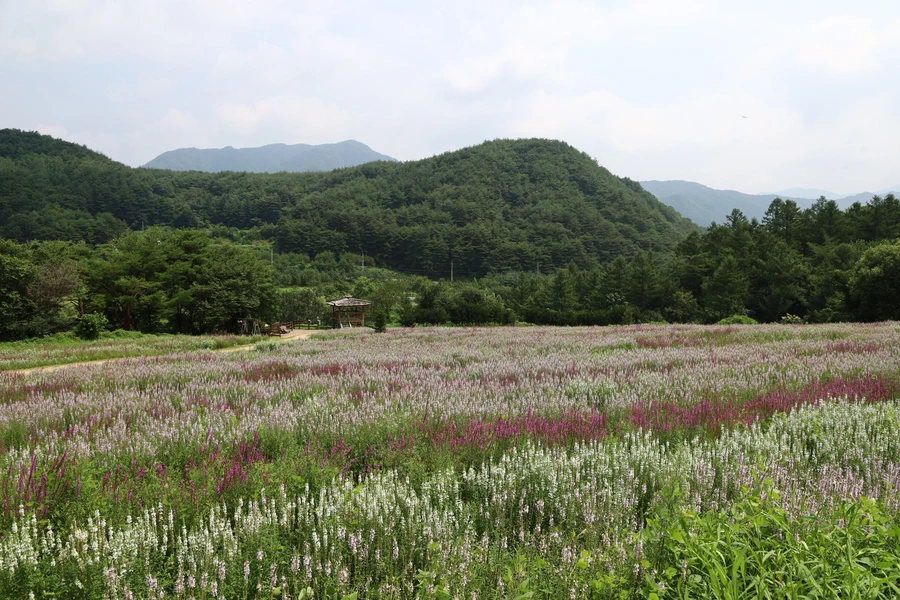 SE-a9c737dc-9432-4cf7-ac01-3dd6f344bd48.jpg?type=w1