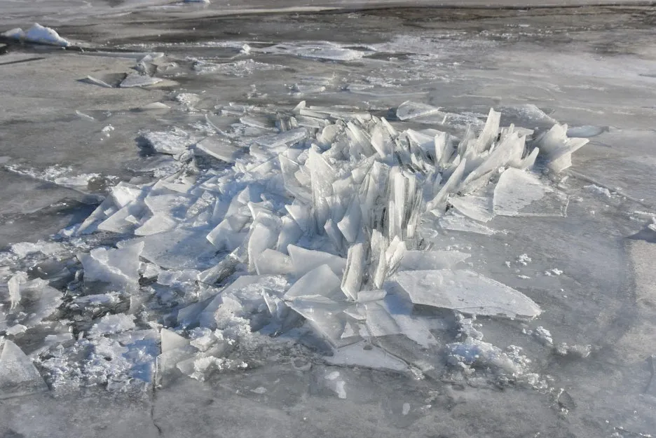 1%EC%9B%9412%EC%9D%BC_(19).JPG?type=w1