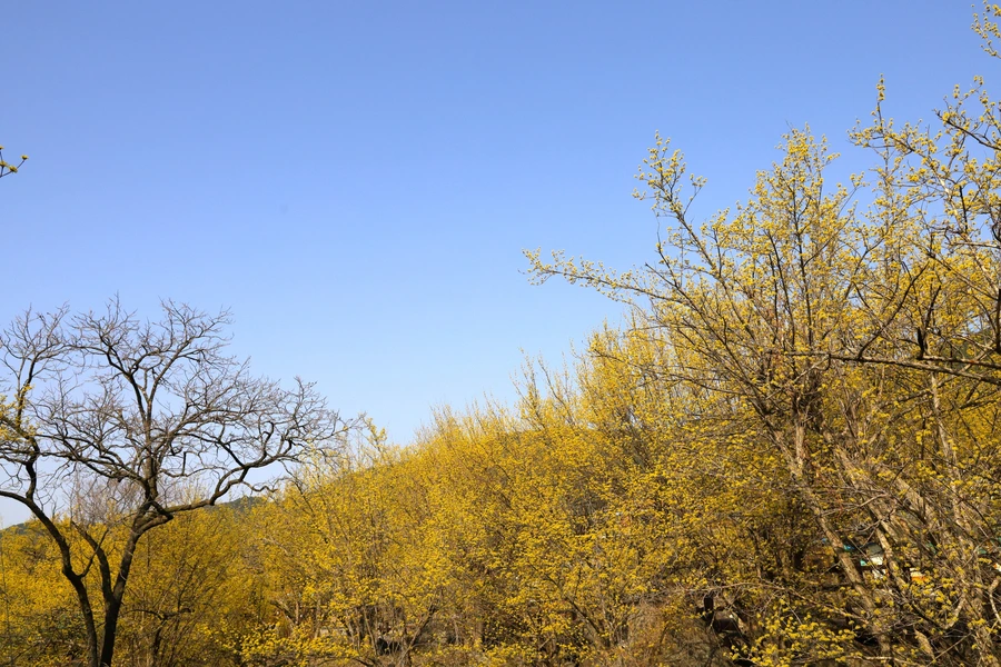 SE-e19bc228-eceb-4fb9-b162-8ba5ac23a838.jpg?type=w1