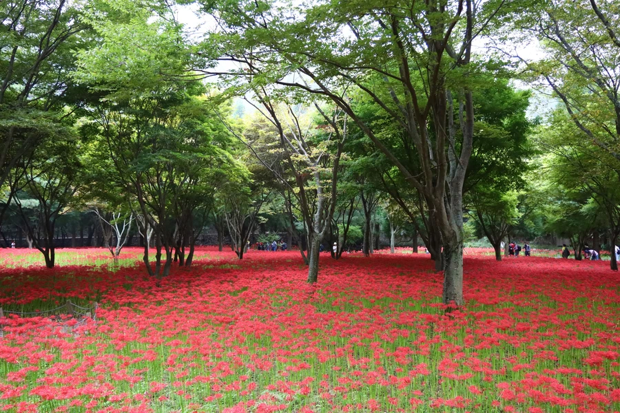 SE-f30f3dec-c6ee-442c-b838-cf02f585835e.jpg?type=w1