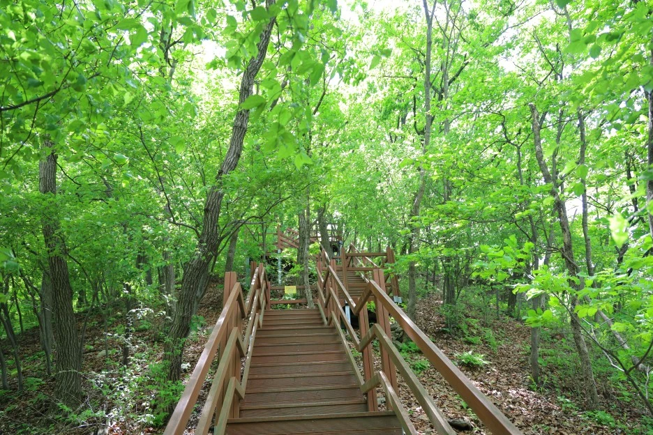 5%EC%9B%9410%EC%9D%BC_(104).JPG?type=w1