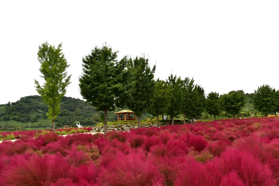 10%EC%9B%9414%EC%9D%BC_(85).JPG?type=w966