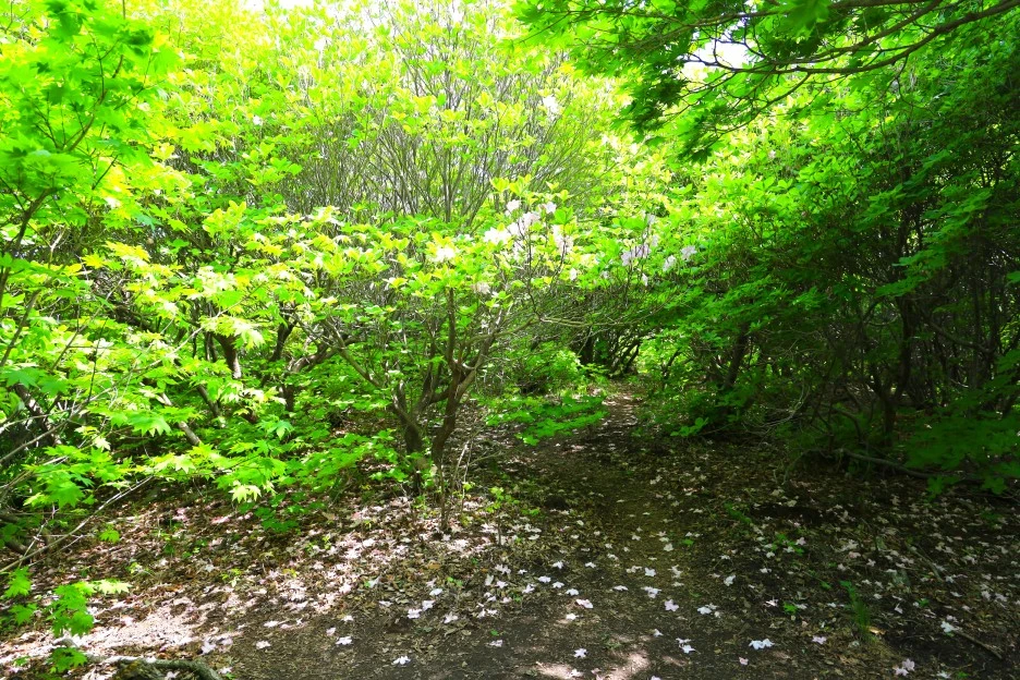 5%EC%9B%9410%EC%9D%BC_(31).JPG?type=w1