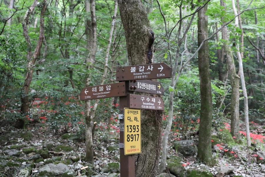 SE-ee9c0fe9-6e76-42d5-9801-5d807ae5f31f.jpg?type=w1