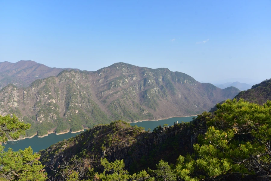 SE-0ba222b7-61a6-4102-914f-29f9860422cf.jpg?type=w1