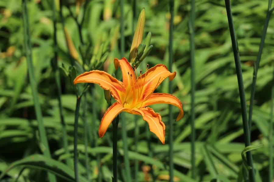 SE-f0185755-ca28-4c06-a774-8b9a2a942b14.jpg?type=w1