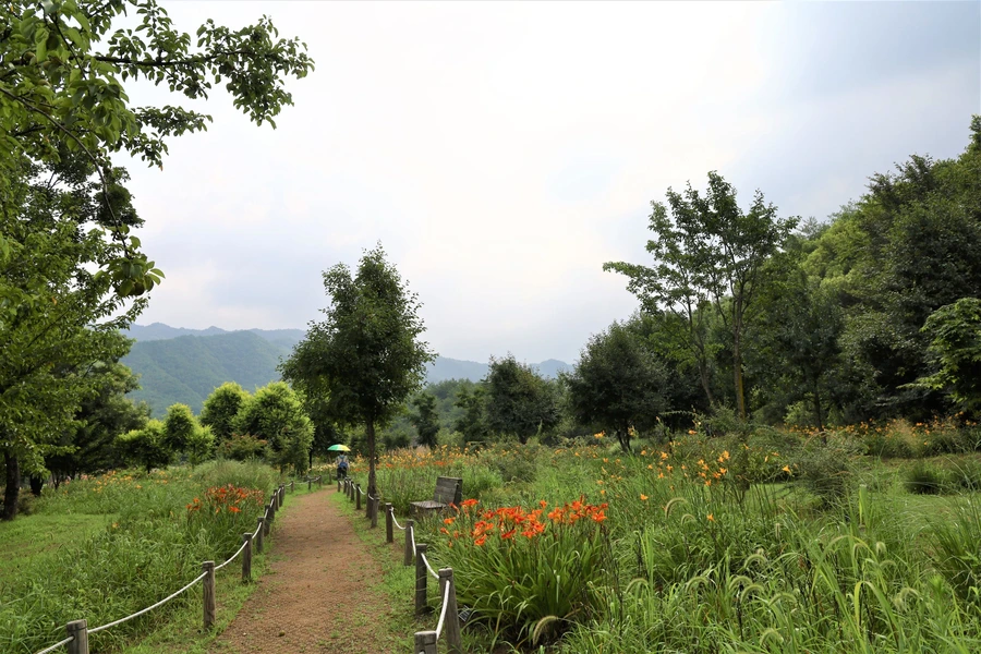 SE-98856283-0309-46e2-bbc1-4cdd8d436e26.jpg?type=w1