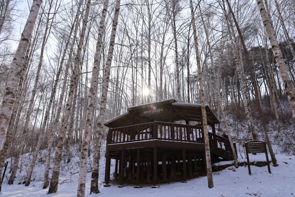 12%EC%9B%9426%EC%9D%BC_(49).JPG?type=w966