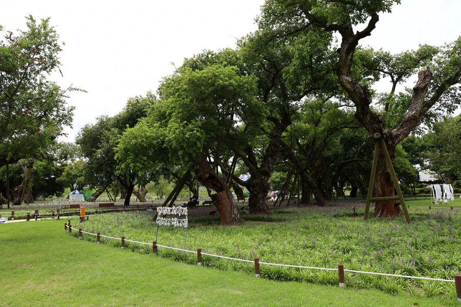 SE-293f6b80-9a83-4373-8b7a-51bb29f7f88a.jpg?type=w1