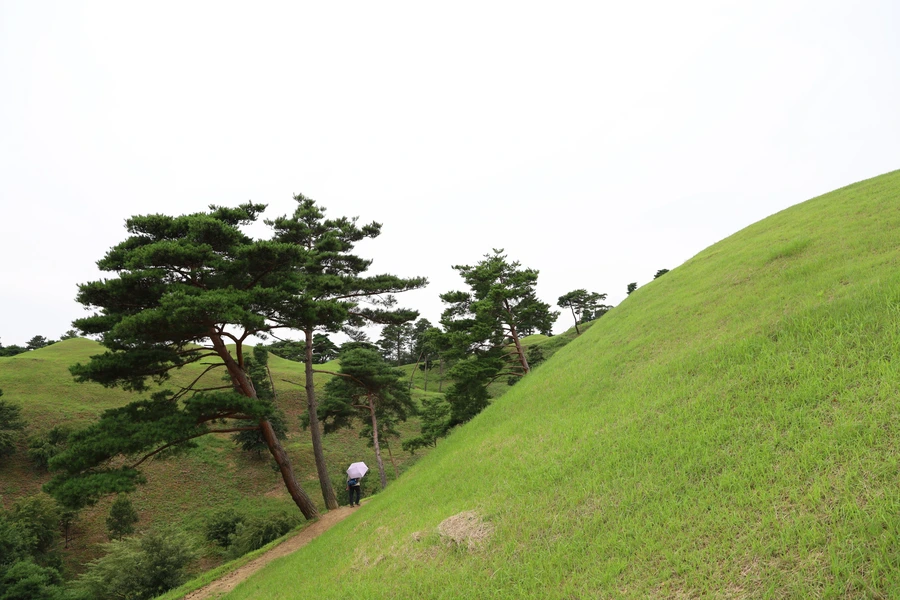 SE-58af8cb6-6f9c-4111-901d-4f5974df63ed.jpg?type=w1