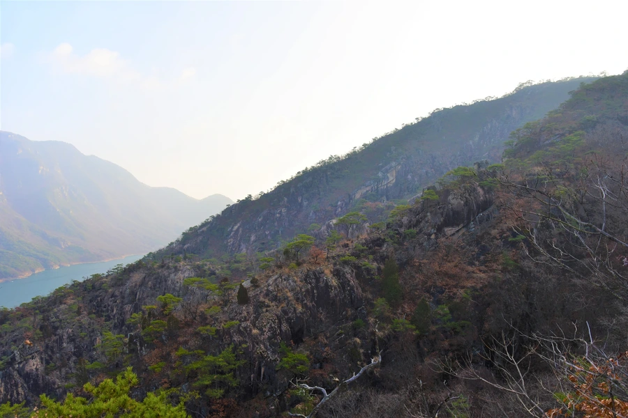 SE-008fa432-9ac7-498f-b9e4-d4bf65272b97.jpg?type=w1