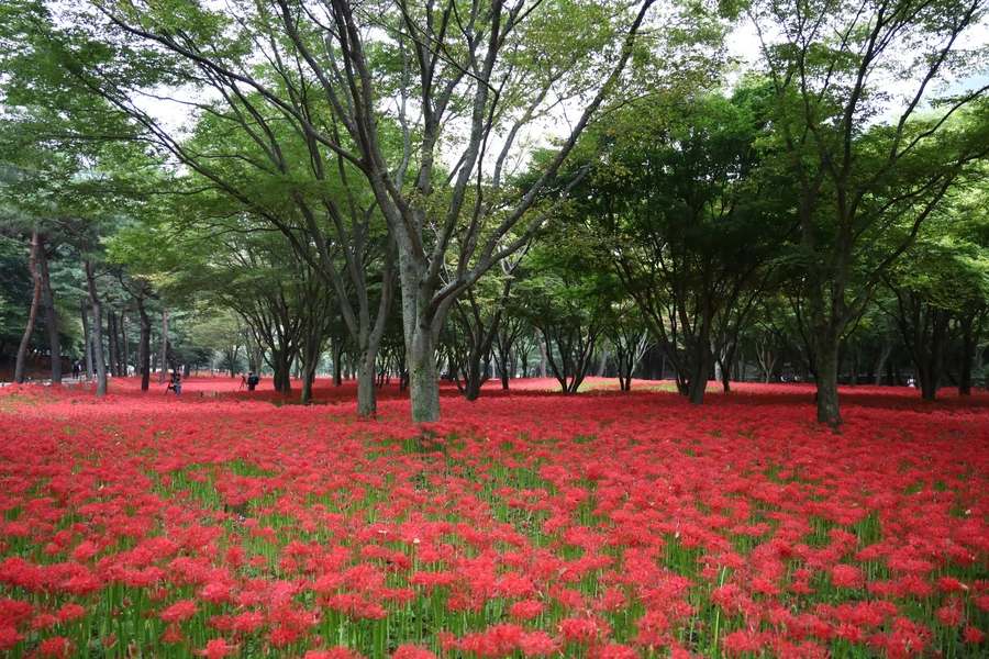 SE-58caaebd-0d84-40d9-a567-81cbc4916057.jpg?type=w1